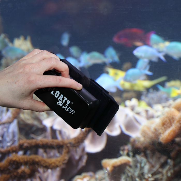 JBL Floaty Blade [7]