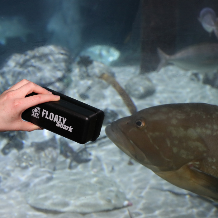 JBL Floaty Shark [7]