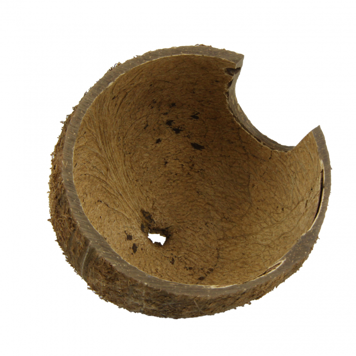 JBL Cocos Cava [7]
