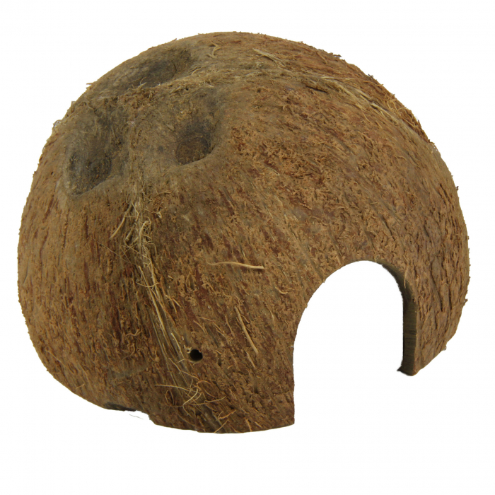 JBL Cocos Cava [2]