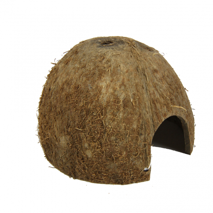 JBL Cocos Cava [6]