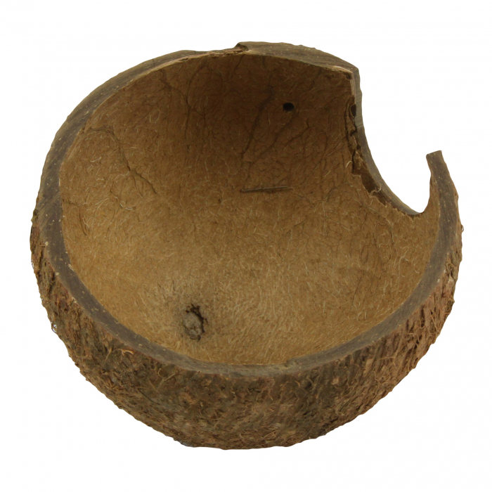 JBL Cocos Cava [3]