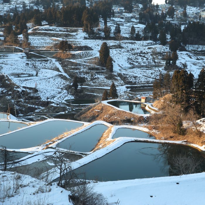 JBL ProPond Winter M [3]