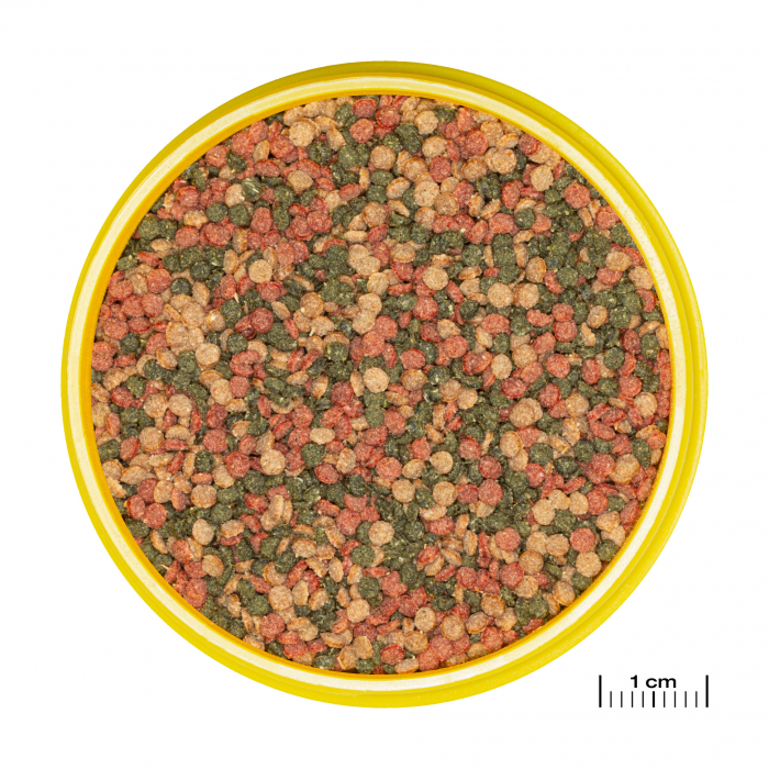 JBL ProNovo Bel Grano M, 250ml Click [2]