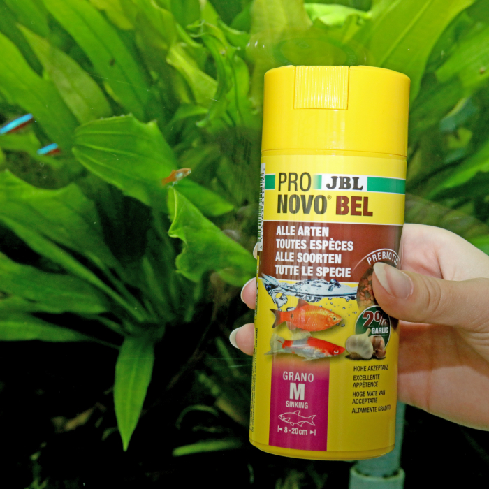 JBL ProNovo Bel Grano M, 250ml Click [5]