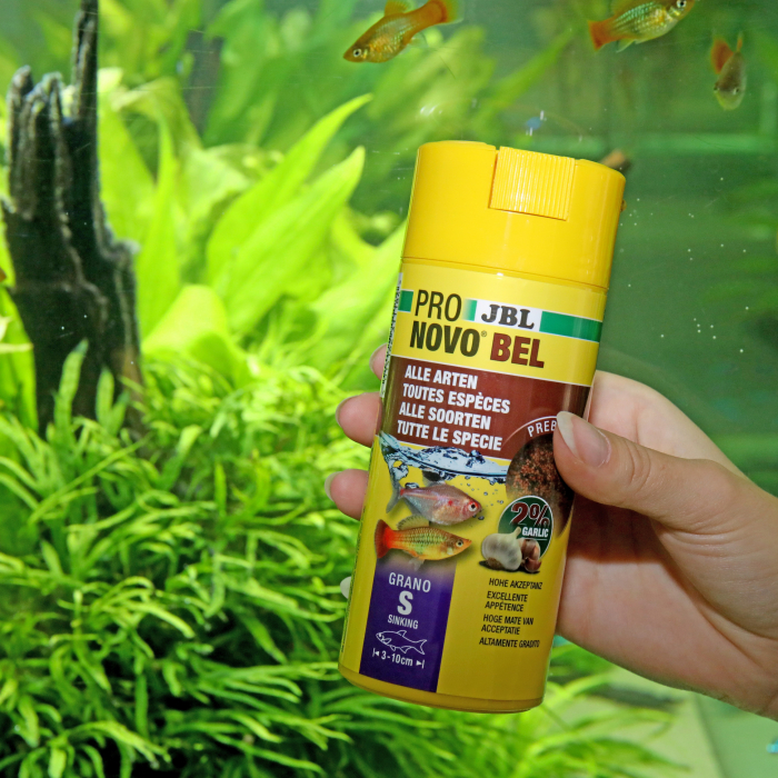 JBL ProNovo Bel Grano S, 250ml CLICK [5]