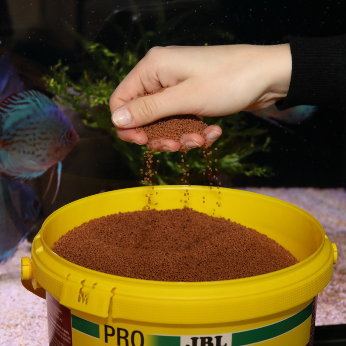 JBL ProNovo Bits Grano M [3]