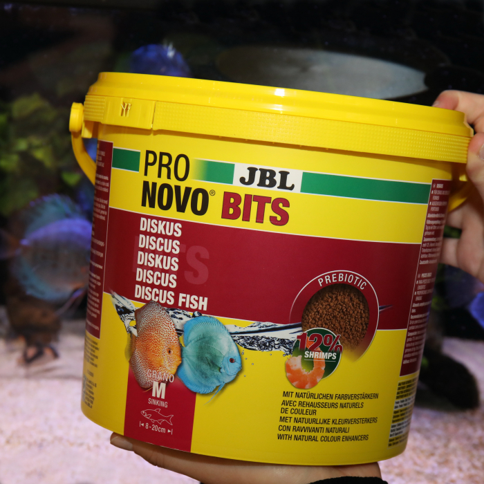 JBL ProNovo Bits Grano M [5]