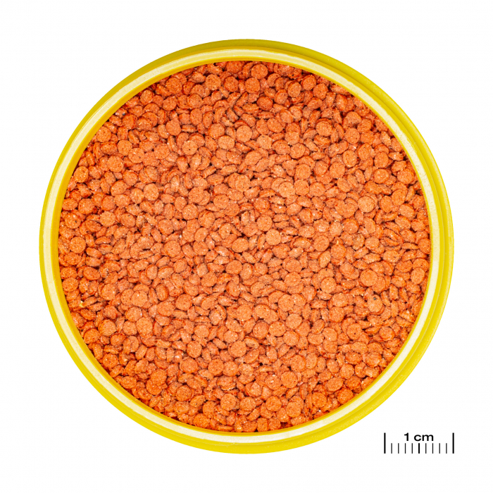 JBL ProNovo Bits Grano M [2]