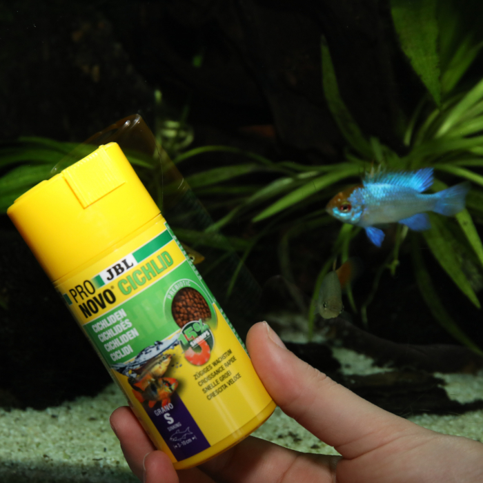 JBL ProNovo Cichlid Grano S [3]