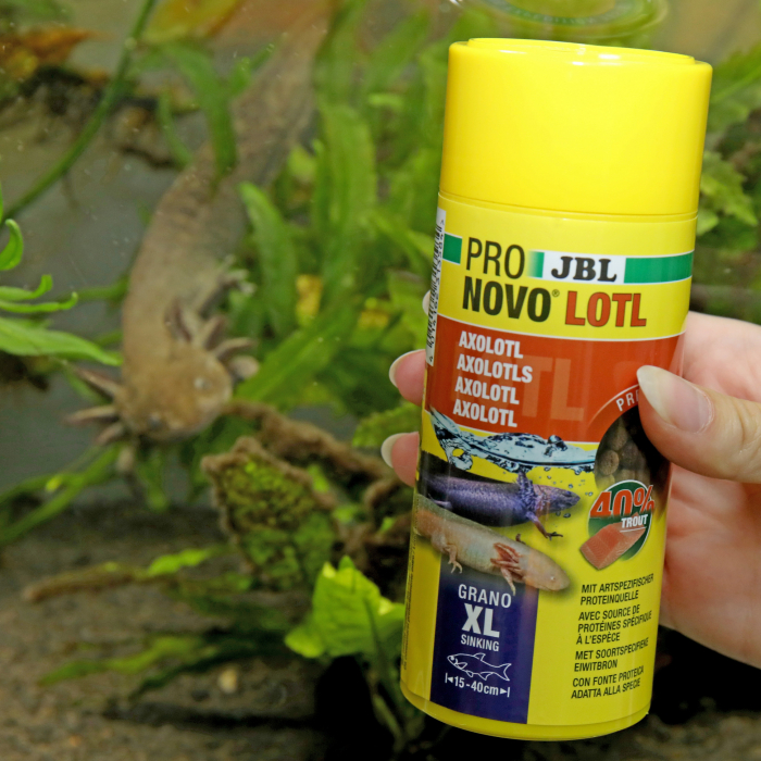 JBL ProNovo Lotl Grano XL, 250ml [5]