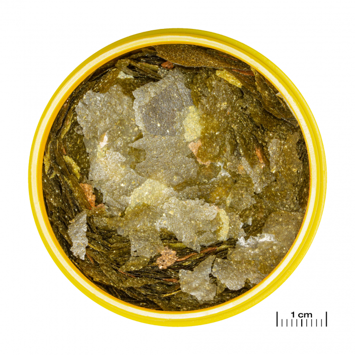 JBL ProNovo Malawi Flakes M [2]