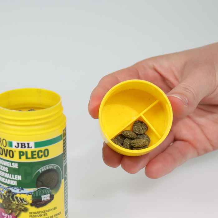 JBL ProNovo Pleco Wafer M [6]