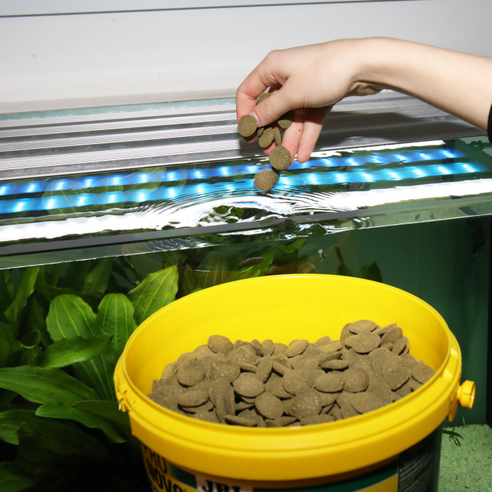 JBL ProNovo Pleco Wafer XL [5]