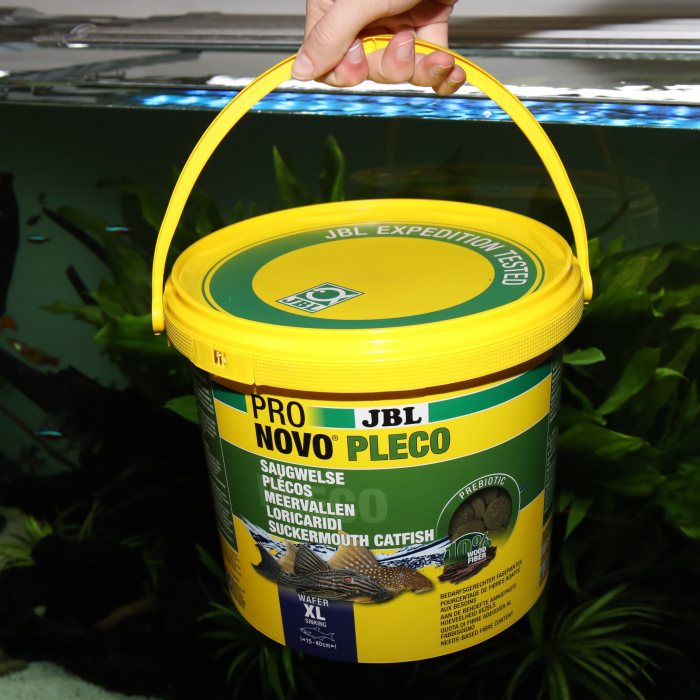 JBL ProNovo Pleco Wafer XL [3]