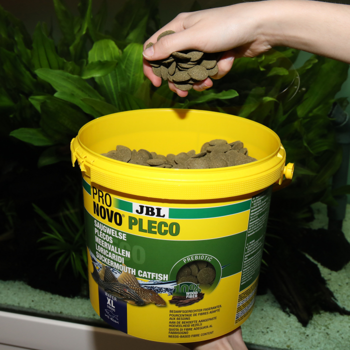 JBL ProNovo Pleco Wafer XL [4]