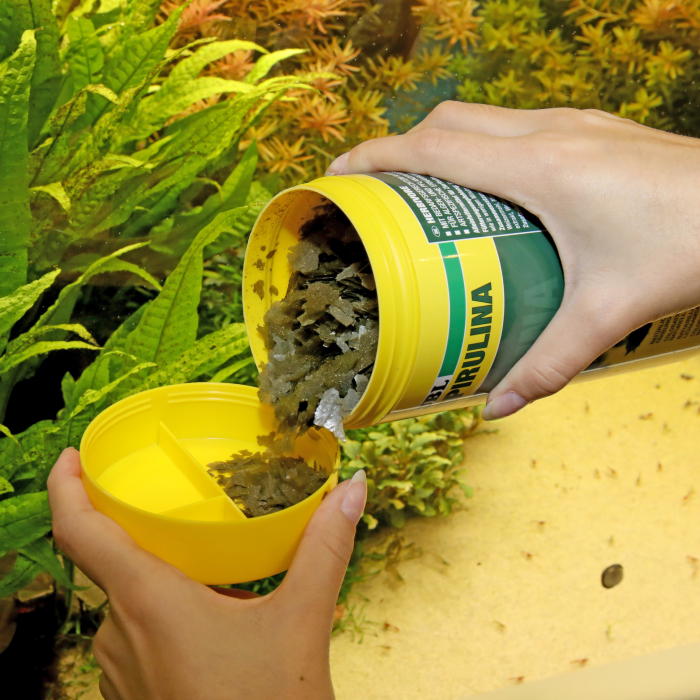 JBL ProNovo Spirulina Flakes M [5]