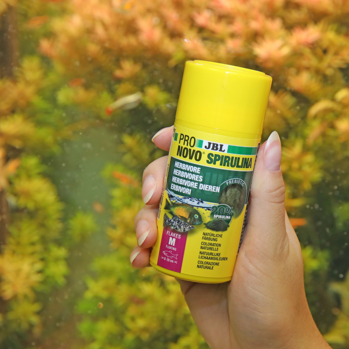 JBL ProNovo Spirulina Flakes M [4]