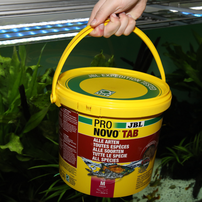 JBL ProNovo TAB M [6]