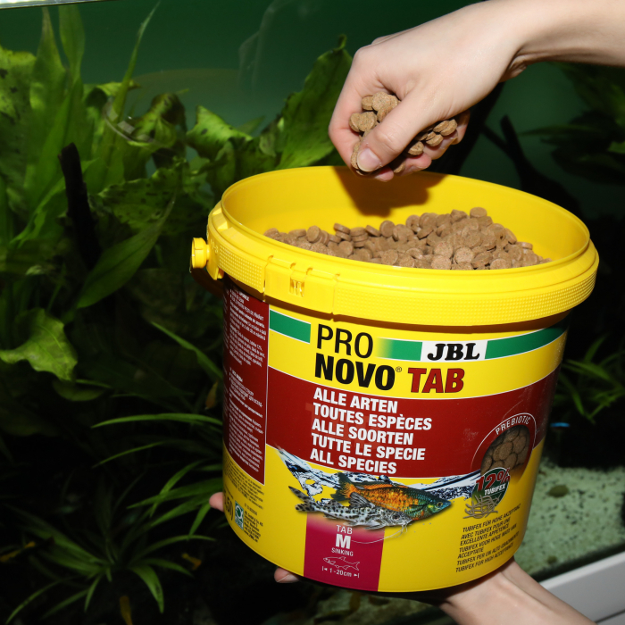 JBL ProNovo TAB M [7]