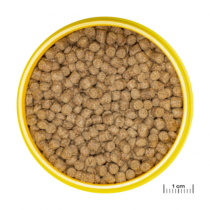 JBL ProNovoLotl Grano M, 250ml [2]