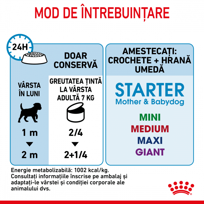 Royal Canin Starter Mousse [6]