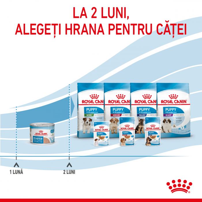 Royal Canin Starter Mousse [10]