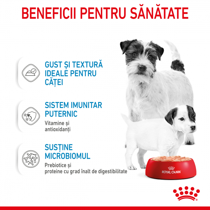 Royal Canin Starter Mousse [4]