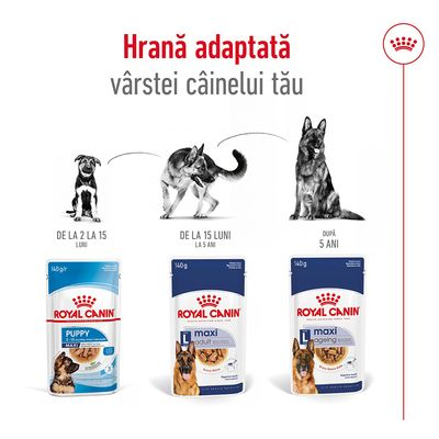 Hrana umeda caini Royal Canin Maxi Adult [8]