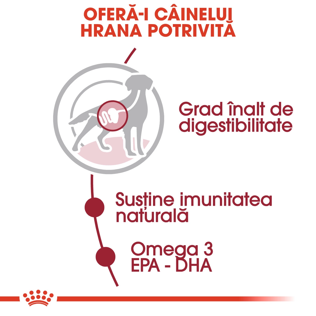 Royal Canin Medium Adult umeda [5]