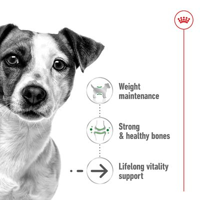 Royal Canin Mini Ageing [3]