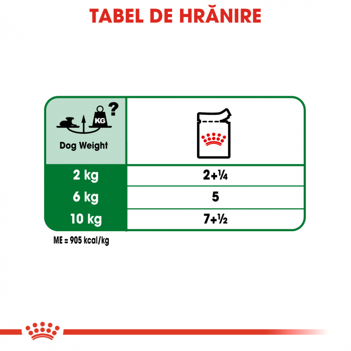 Royal Canin Mini Ageing [4]