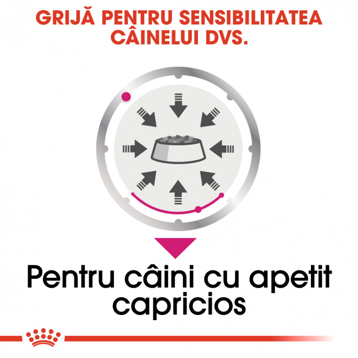 Royal Canin Mini Exigent [4]