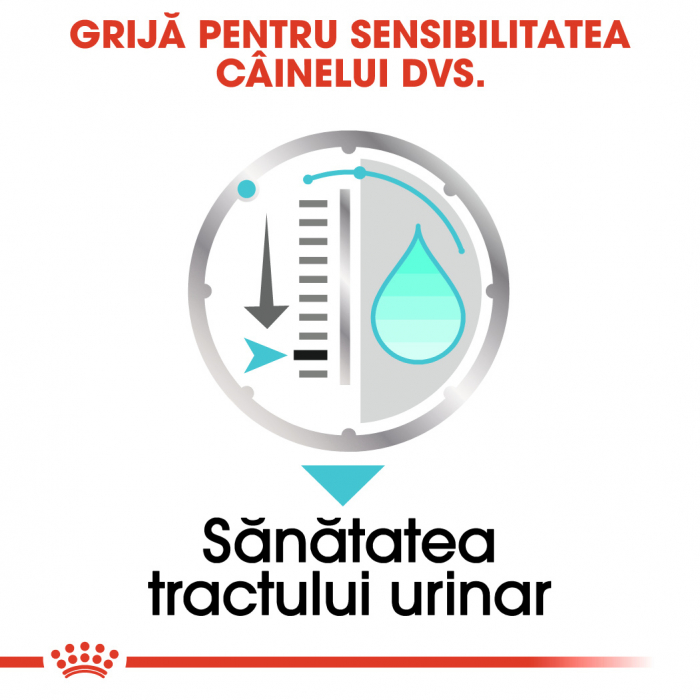Royal Canin Mini Urinary Care [5]