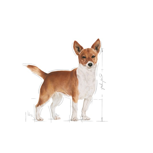 Royal Canin Mini Urinary Care [3]