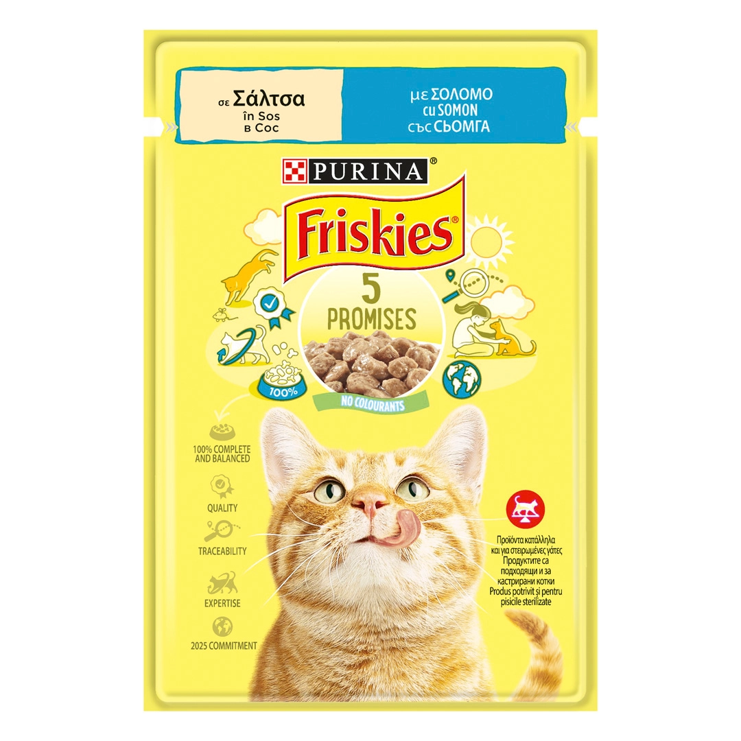 Frieskies Somon în Sos [1]
