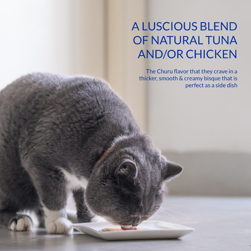 Hrana umeda pisici, Inaba Churu Bisque Chicken Recipe, 40G [4]