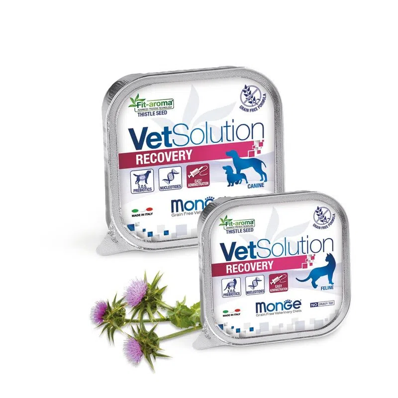 Monge Vet Cat Recovery [2]