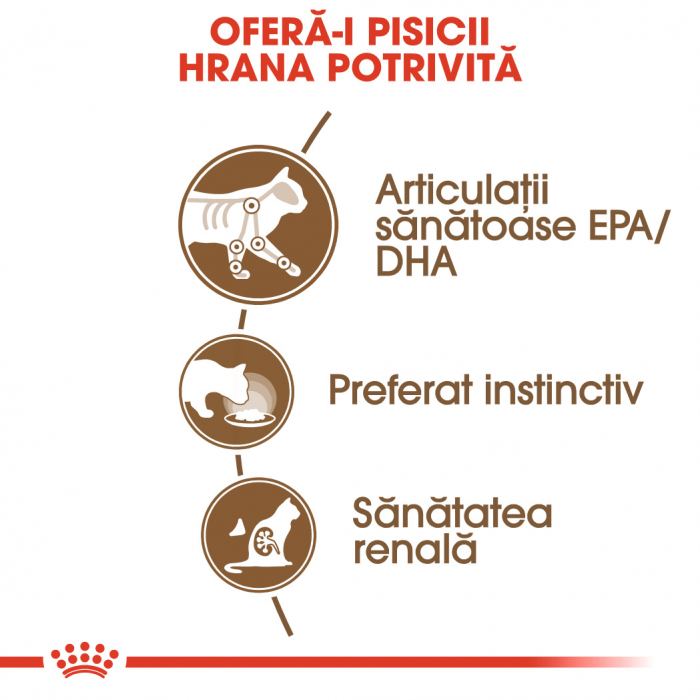 Royal Canin Ageing +12 [4]