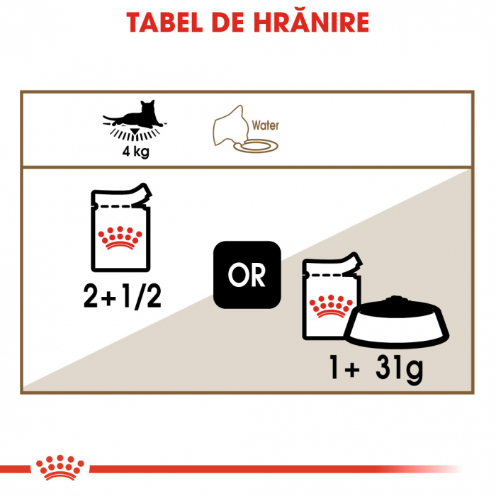 Royal Canin Ageing +12 [5]