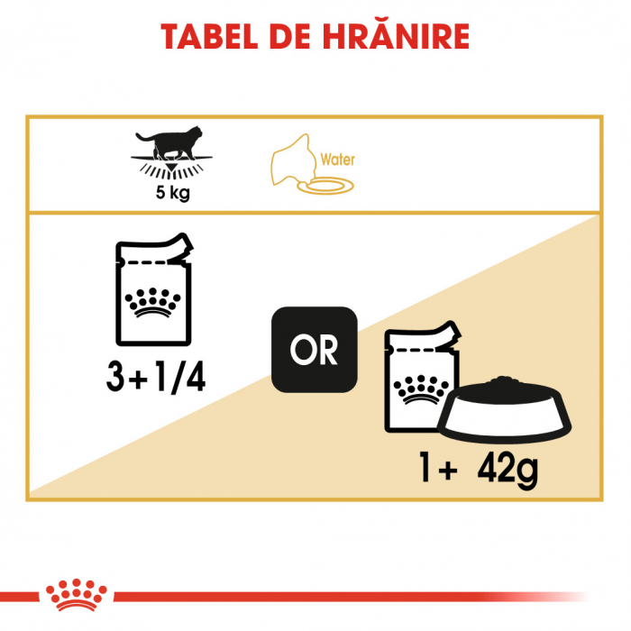 Royal Canin British Shorthair Pouch [6]