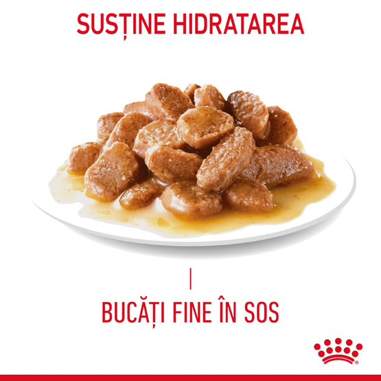 Royal Canin Hair&Skin Gravy [10]