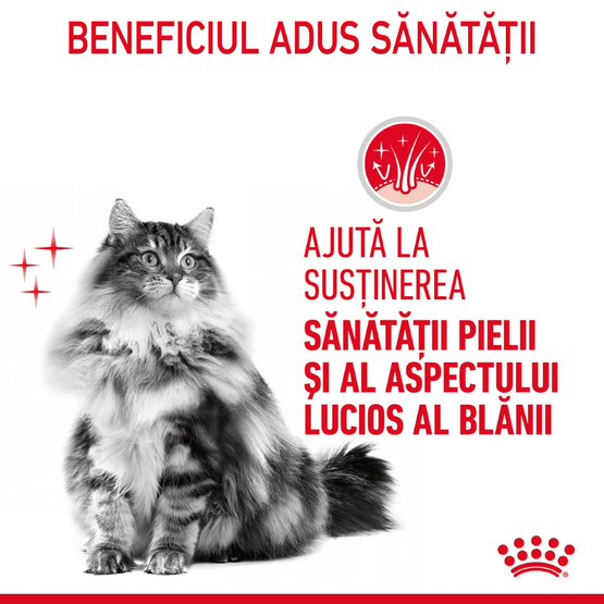 Royal Canin Hair&Skin Jelly [3]