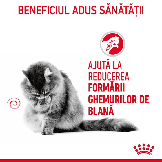 Royal Canin Hairball Care [4]