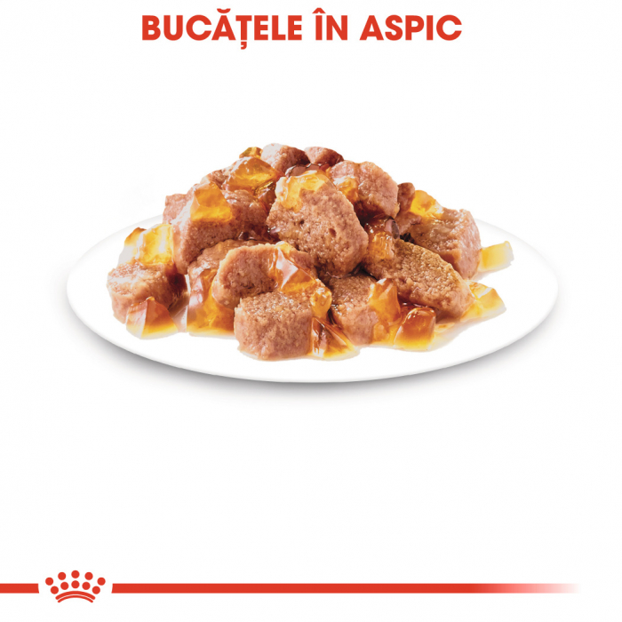 Royal Canin Instinctive In Jelly [8]