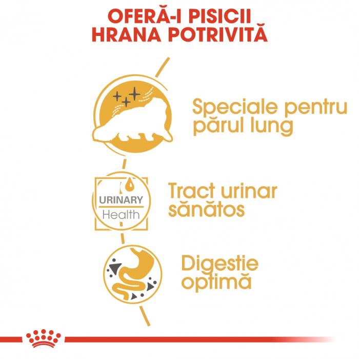 Plic Royal Canin Persian [4]