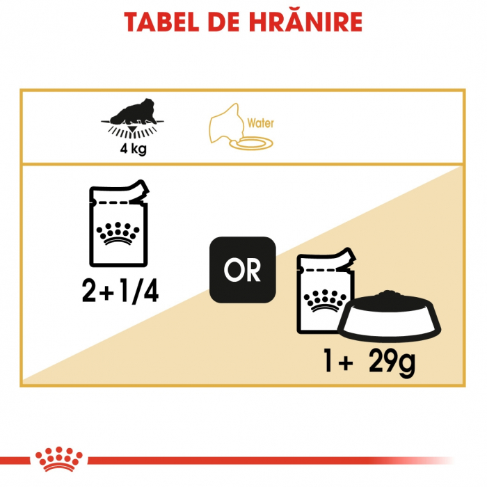 Plic Royal Canin Persian [3]