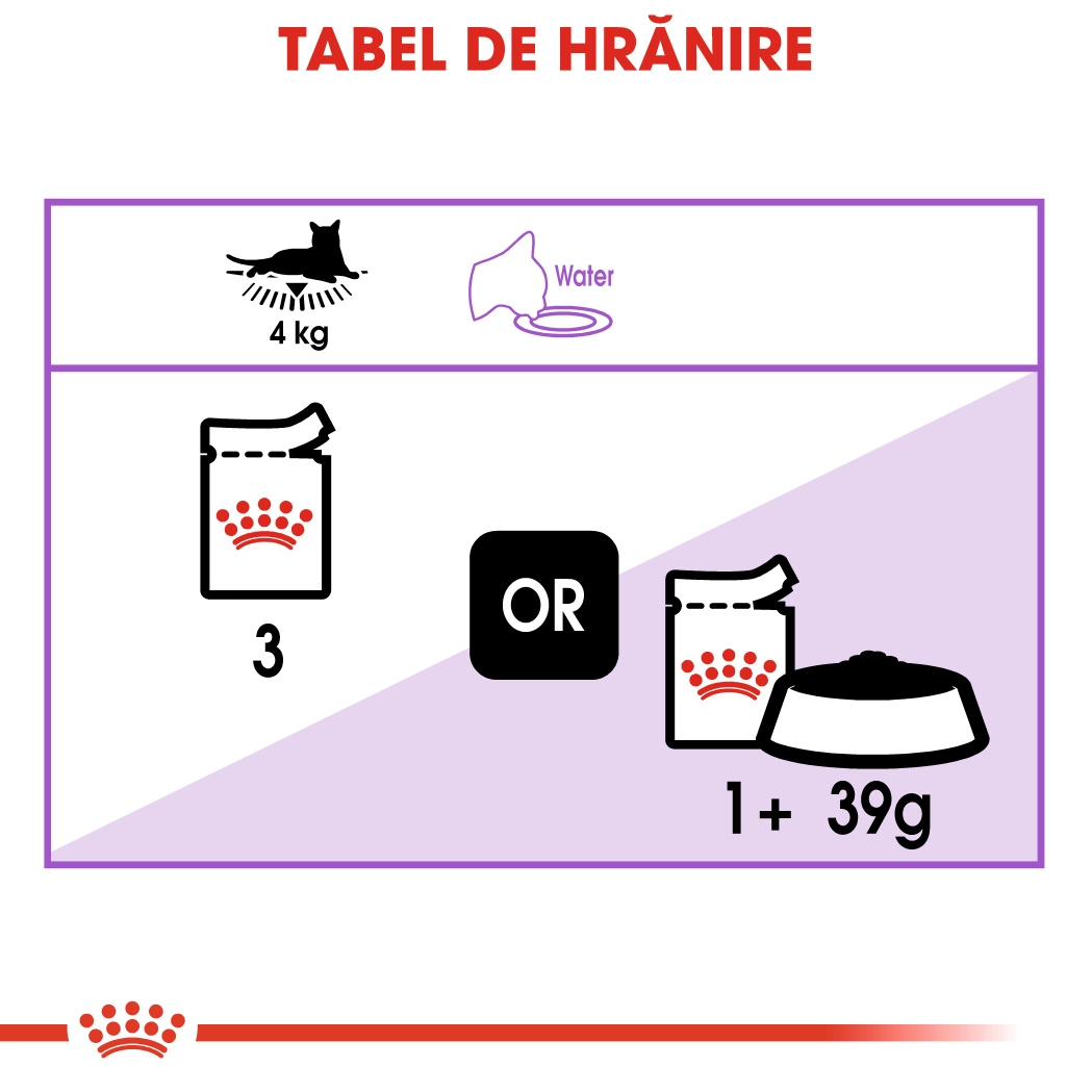 Royal Canin Sterlised [5]