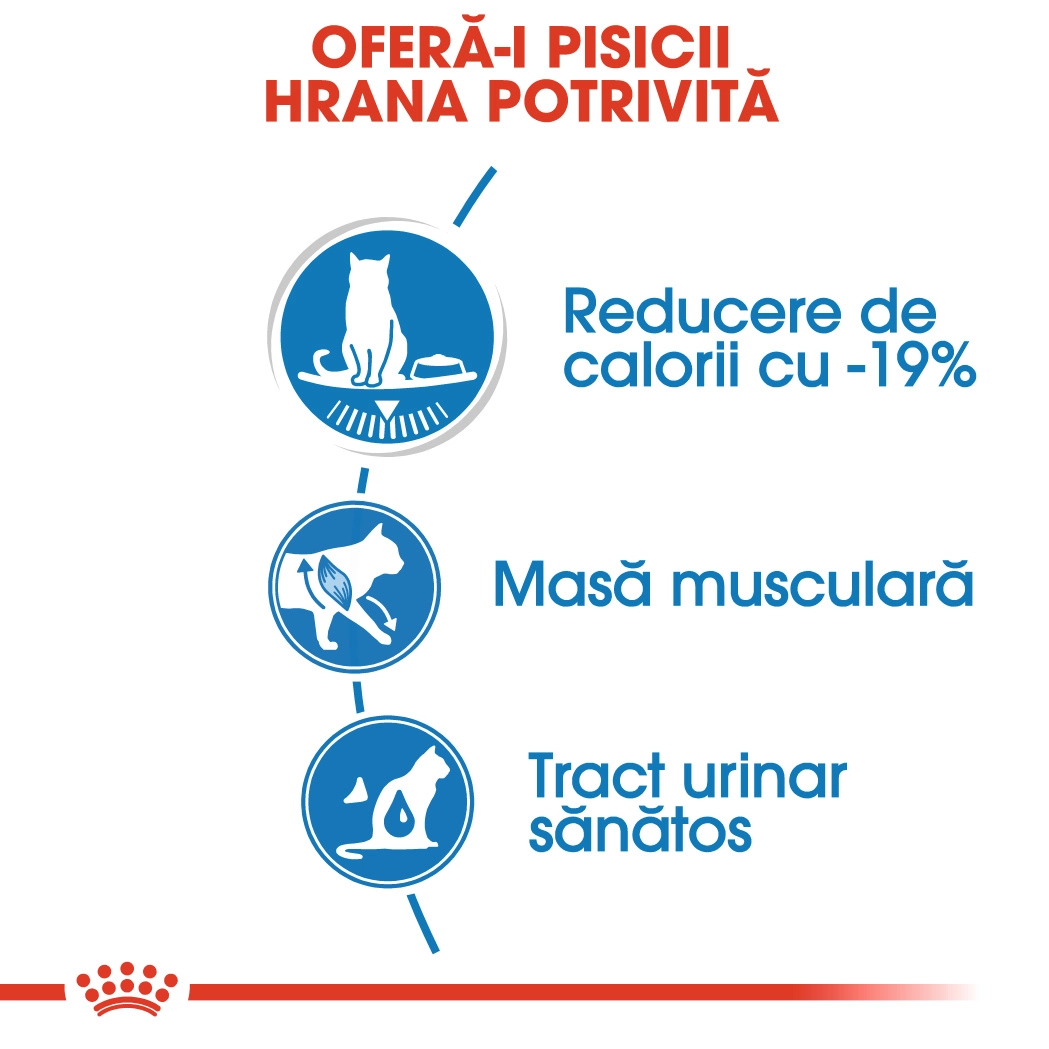 Royal Canin Ultra Light in Gravy [5]