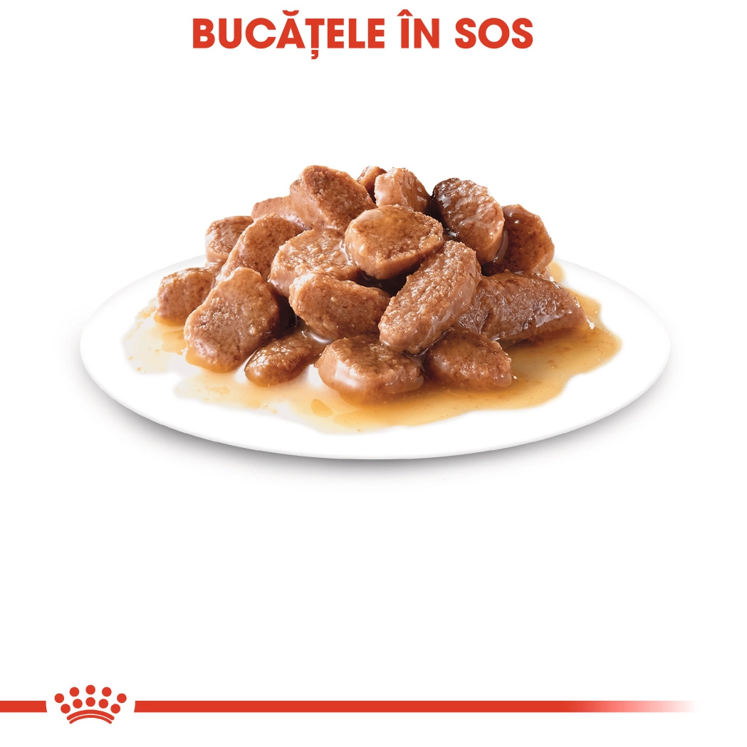 Royal Canin Ultra Light in Gravy [6]